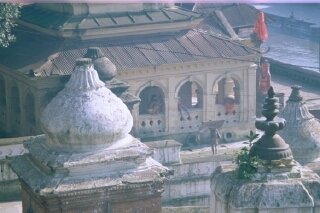 Pashupatinath: Temples i saddhus