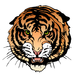 Els ulls del tigre